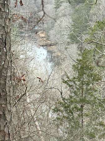 47 Acres of Recreational & Residential Land for Sale in Murfreesboro, Arkansas