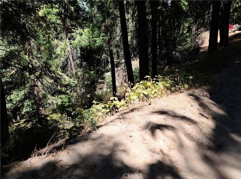 0.12 Acres of Residential Land for Sale in Cedarpines Park, California