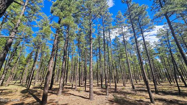 2.53 Acres of Residential Land for Sale in Lakeside, Arizona