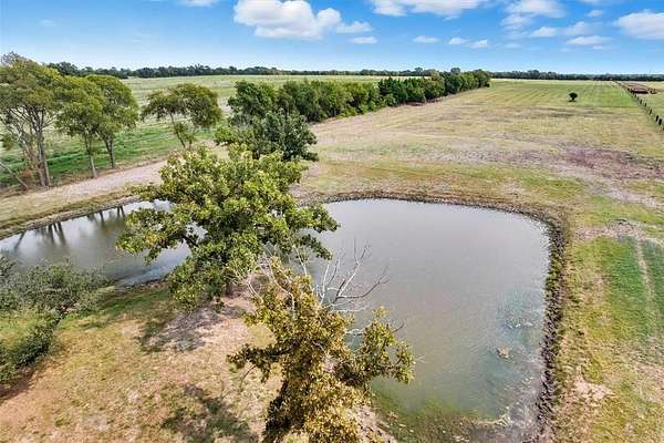 14.2 Acres of Land for Sale in Blue Ridge, Texas