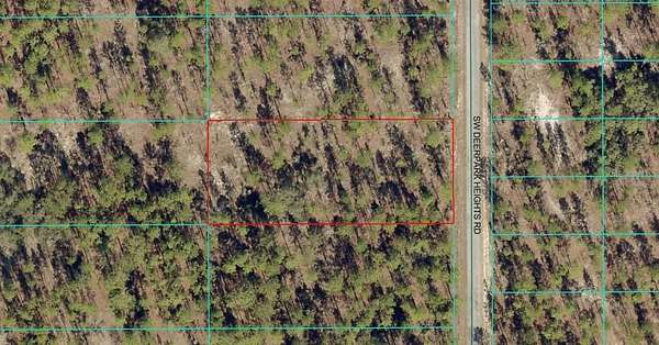 0.99 Acres of Residential Land for Sale in Dunnellon, Florida
