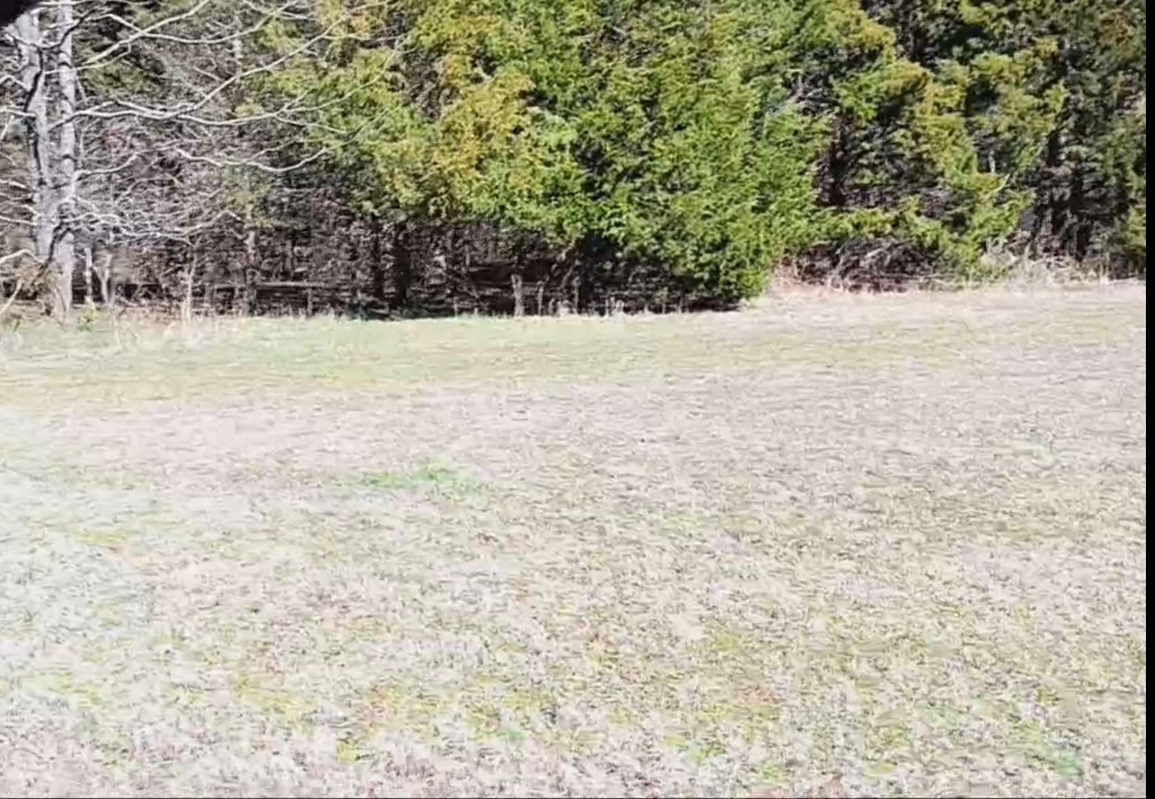 0.52 Acres of Residential Land for Sale in Saulsbury, Tennessee