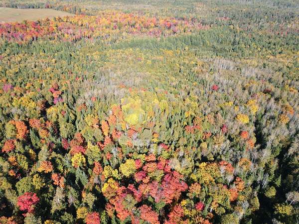 104 Acres of Agricultural Land for Sale in New Sweden, Maine