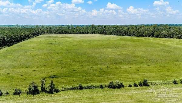 10.8 Acres of Land for Sale in Jay, Florida