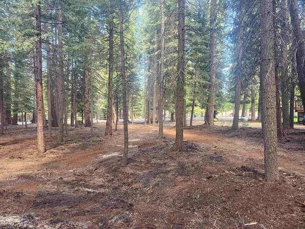 0.41 Acres of Residential Land for Sale in Lake Almanor West, California