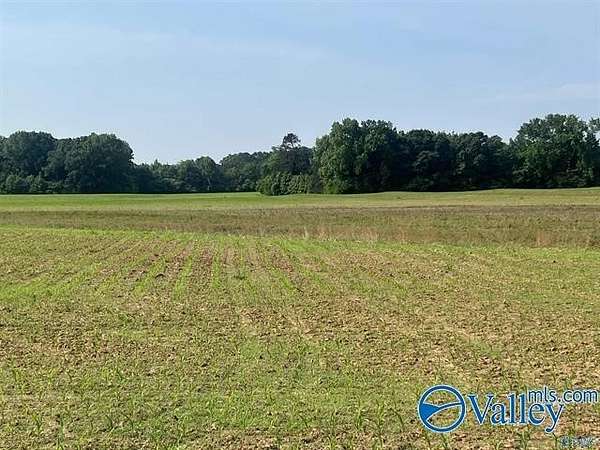 33 Acres of Land for Sale in Harvest, Alabama