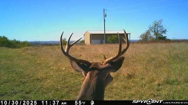 14.6 Acres of Recreational Land for Sale in Dublin, Texas