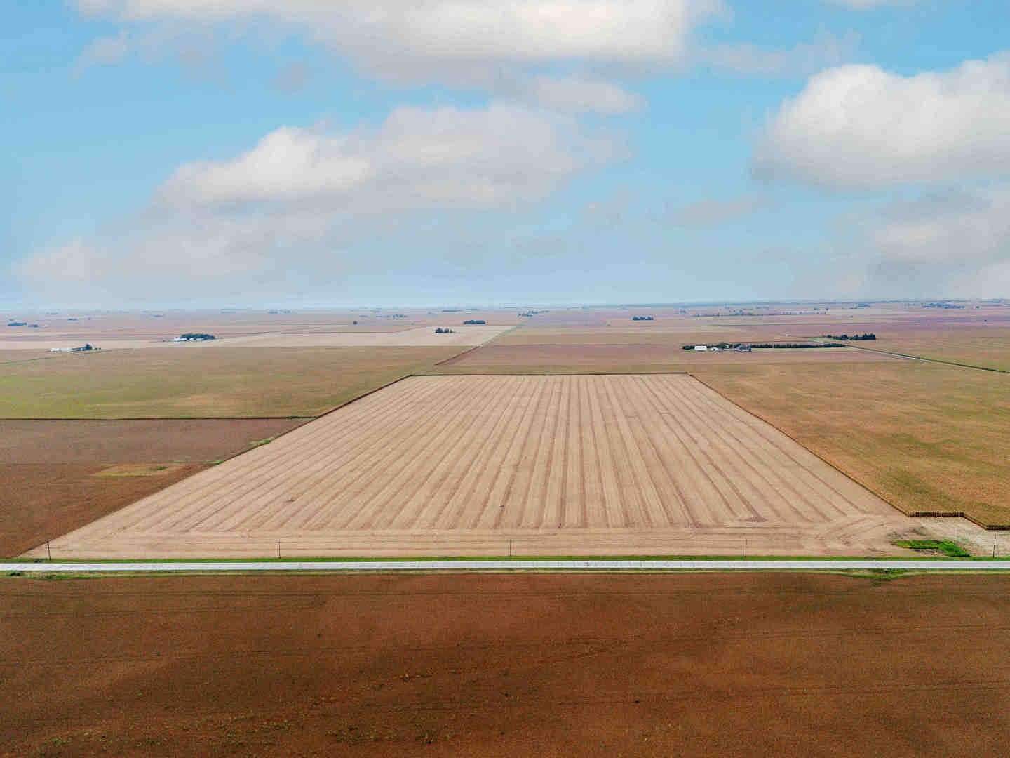 80 Acres of Agricultural Land for Sale in Anchor, Illinois