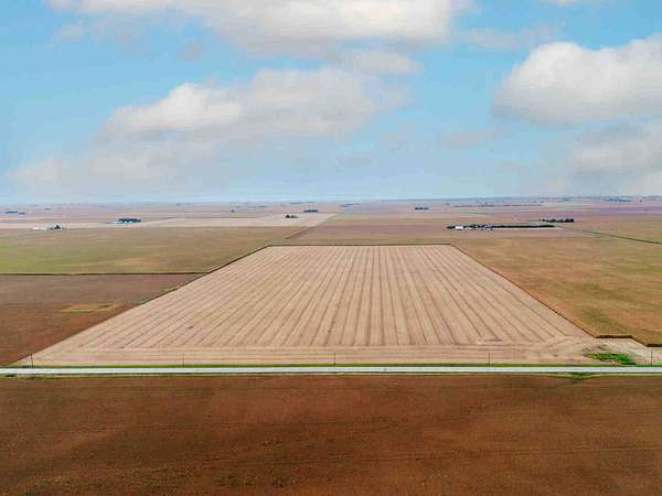 80 Acres of Agricultural Land for Sale in Anchor, Illinois