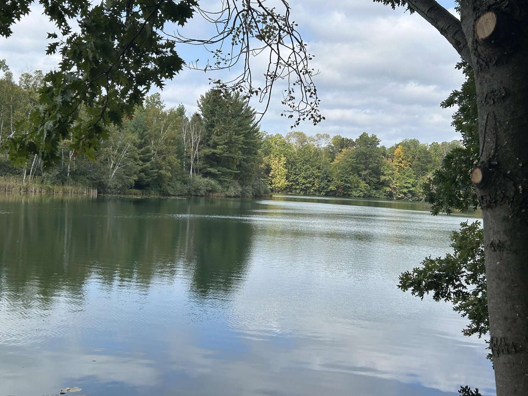 0.49 Acres of Land for Sale in Canadian Lakes, Michigan