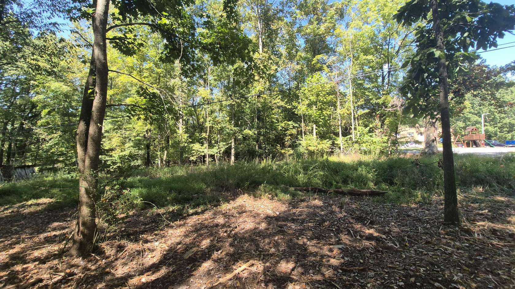 1 Acre of Residential Land for Sale in Monteagle, Tennessee