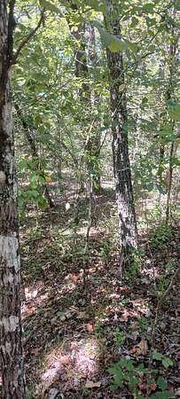 0.04 Acres of Residential Land for Sale in Theodosia, Missouri