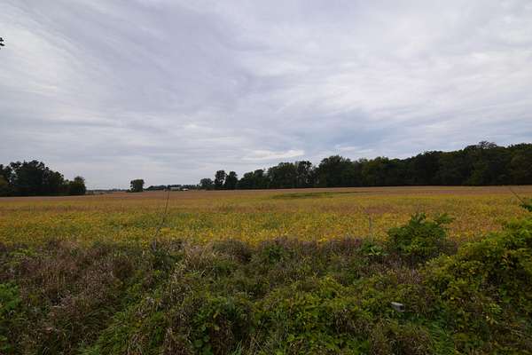 40.6 Acres of Land for Sale in Bronson, Michigan