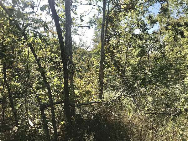 35 Acres of Recreational Land for Sale in Sandy Hook, Kentucky