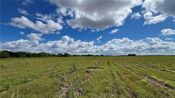 21.6 Acres of Commercial Land for Sale in Kingsville, Texas