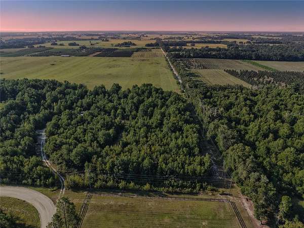 4.9 Acres of Residential Land for Sale in Morriston, Florida