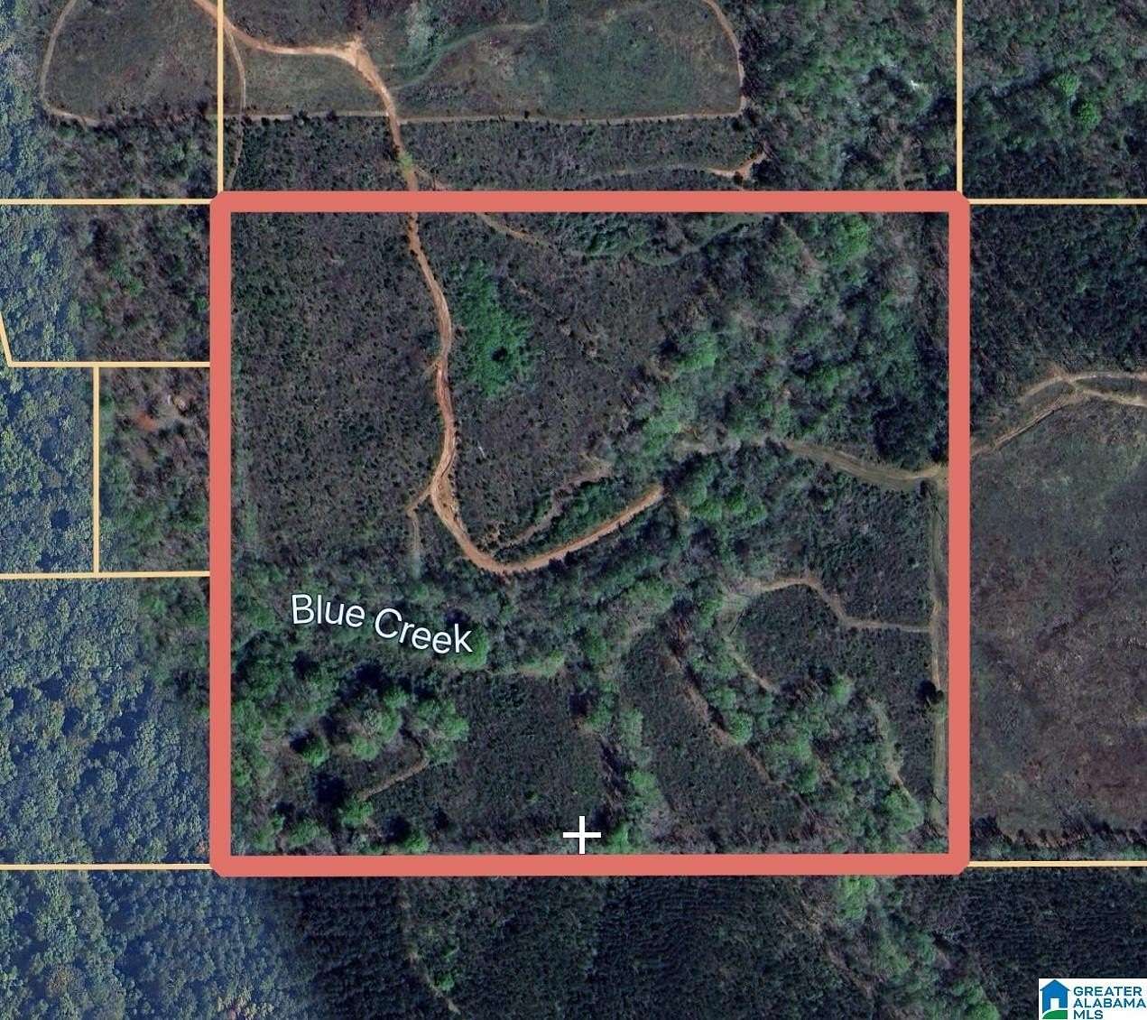 40 Acres of Recreational Land for Sale in Verbena, Alabama