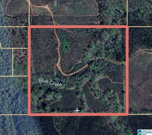 40 Acres of Recreational Land for Sale in Verbena, Alabama