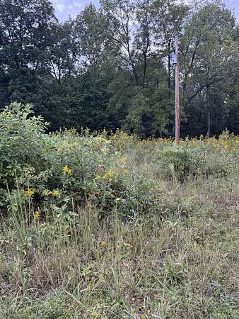0.41 Acres of Residential Land for Sale in Red Boiling Springs, Tennessee