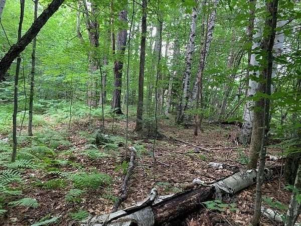 11.3 Acres of Land for Sale in Pomfret, Vermont