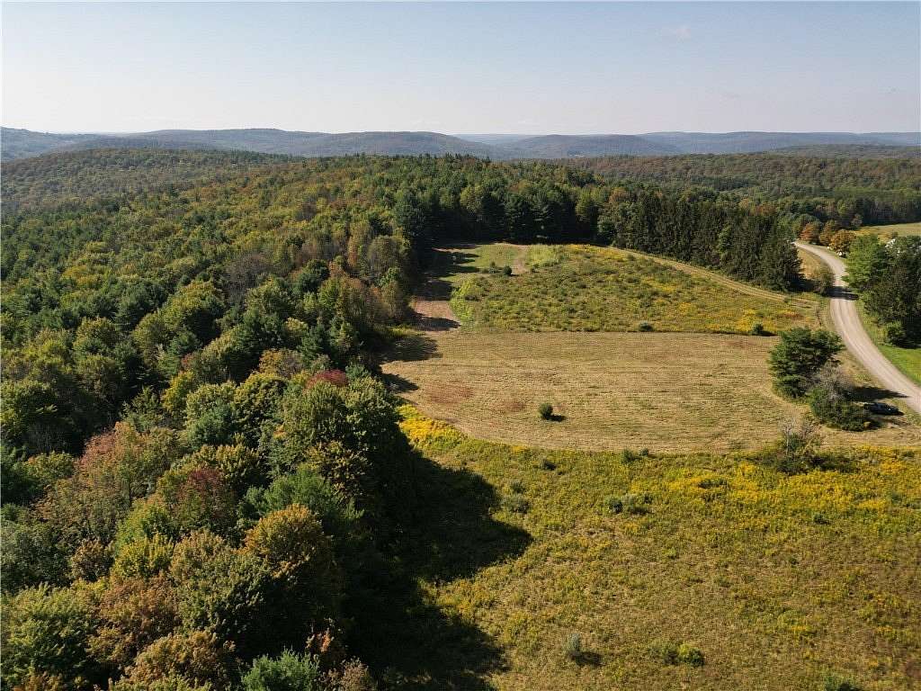 78 Acres of Recreational Land for Sale in Spencer, New York