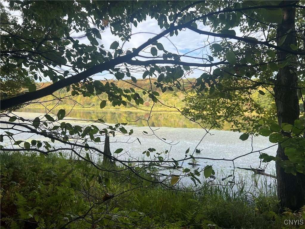 20 Acres of Recreational Land for Sale in Cincinnatus, New York