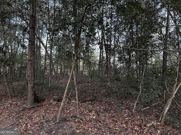 0.34 Acres of Residential Land for Sale in Thomasville, Georgia