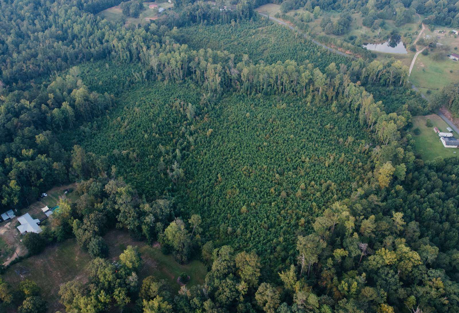 35.5 Acres of Recreational Land for Sale in Meridian, Mississippi