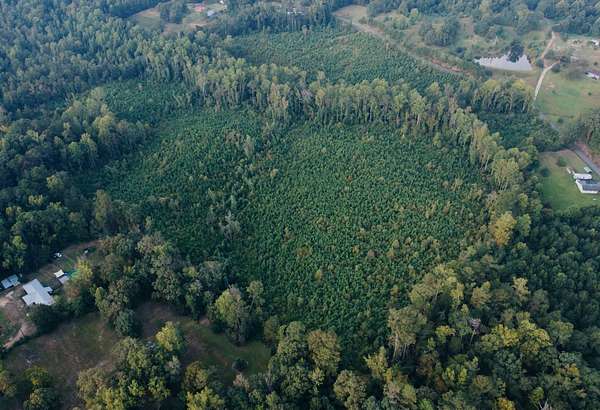35.5 Acres of Recreational Land for Sale in Meridian, Mississippi