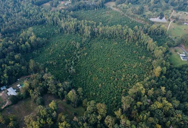35.5 Acres of Recreational & Residential Land for Sale in Meridian, Mississippi