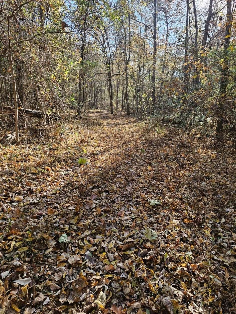 15.5 Acres of Land for Sale in Burlison, Tennessee