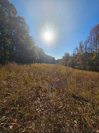 15.5 Acres of Land for Sale in Burlison, Tennessee