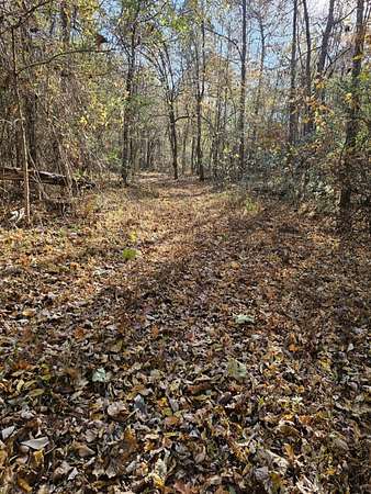 15.5 Acres of Land for Sale in Burlison, Tennessee