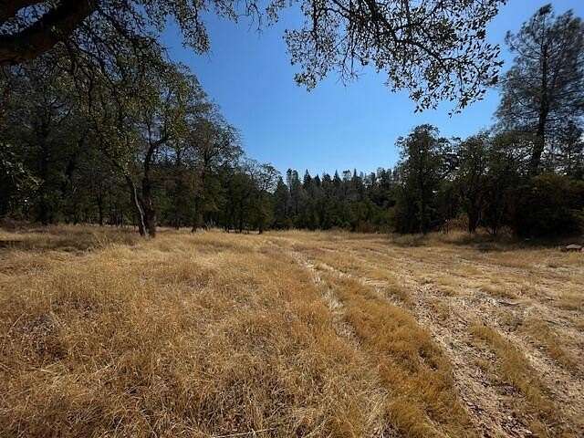 86.5 Acres of Land for Sale in Oak Run, California