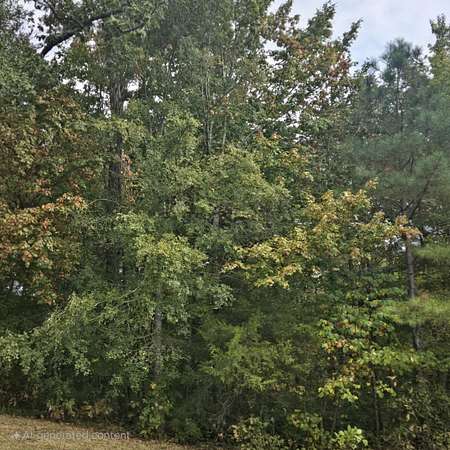 0.48 Acres of Residential Land for Sale in McDonald, Tennessee