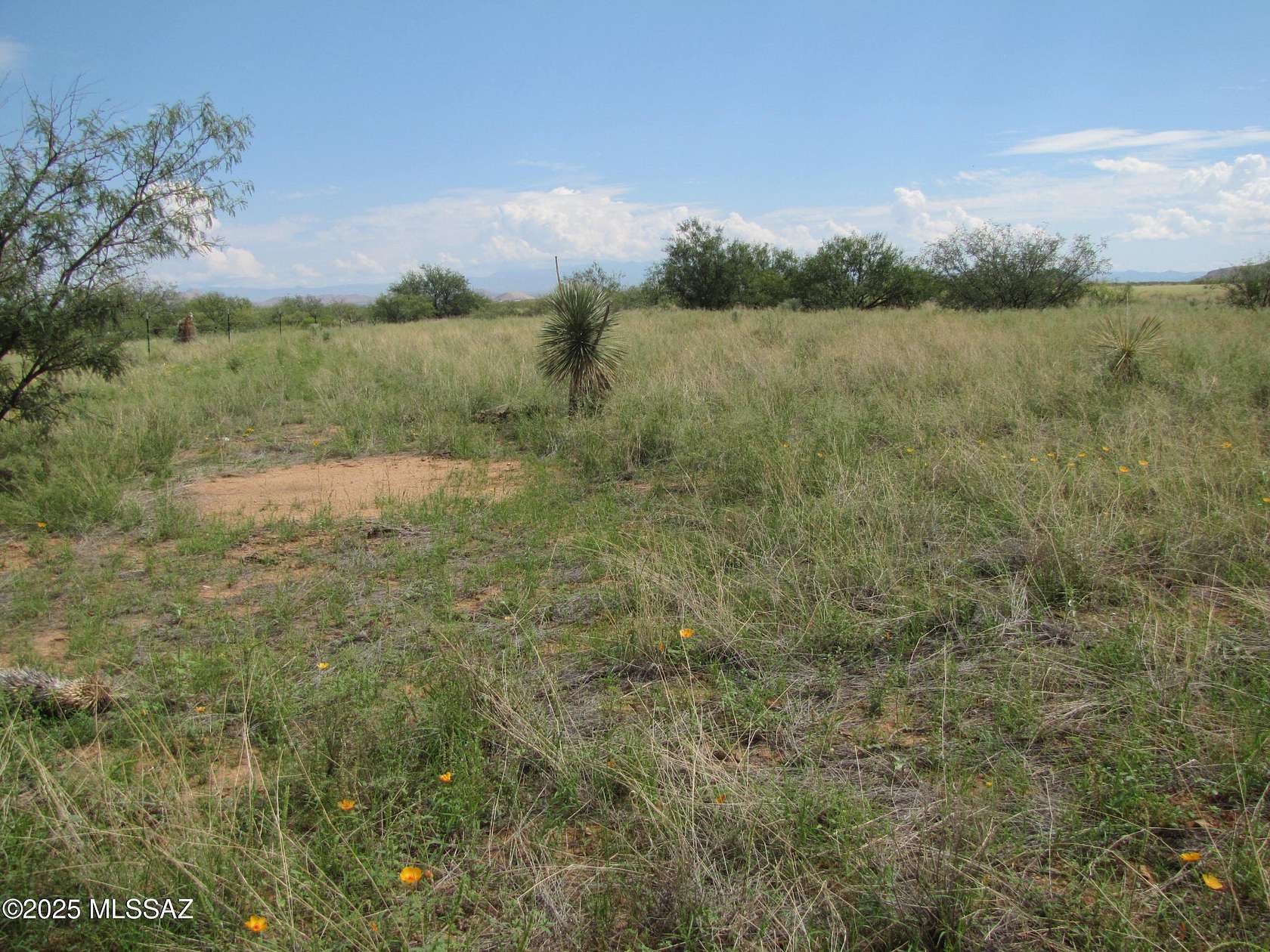 1.64 Acres of Residential Land for Sale in Pearce, Arizona