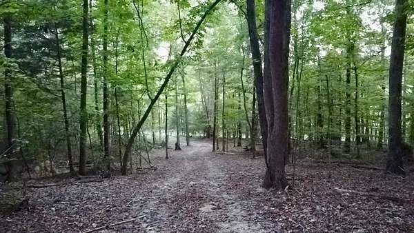 81 Acres of Recreational Land for Sale in Camden, Tennessee