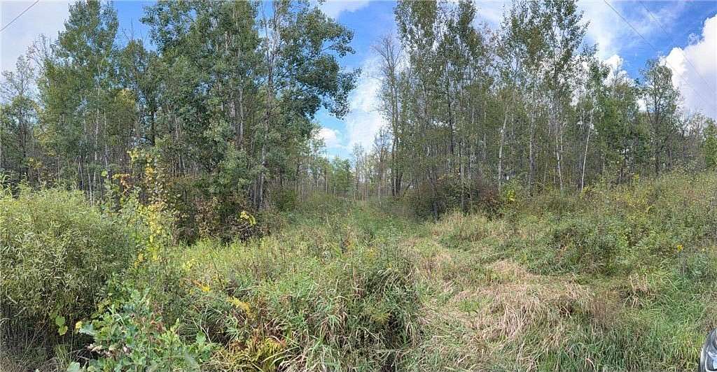 30 Acres of Recreational Land for Sale in Lorain Town, Wisconsin