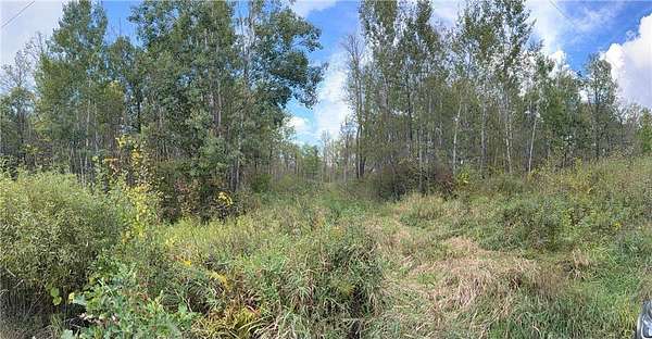 30 Acres of Recreational Land for Sale in Lorain Town, Wisconsin