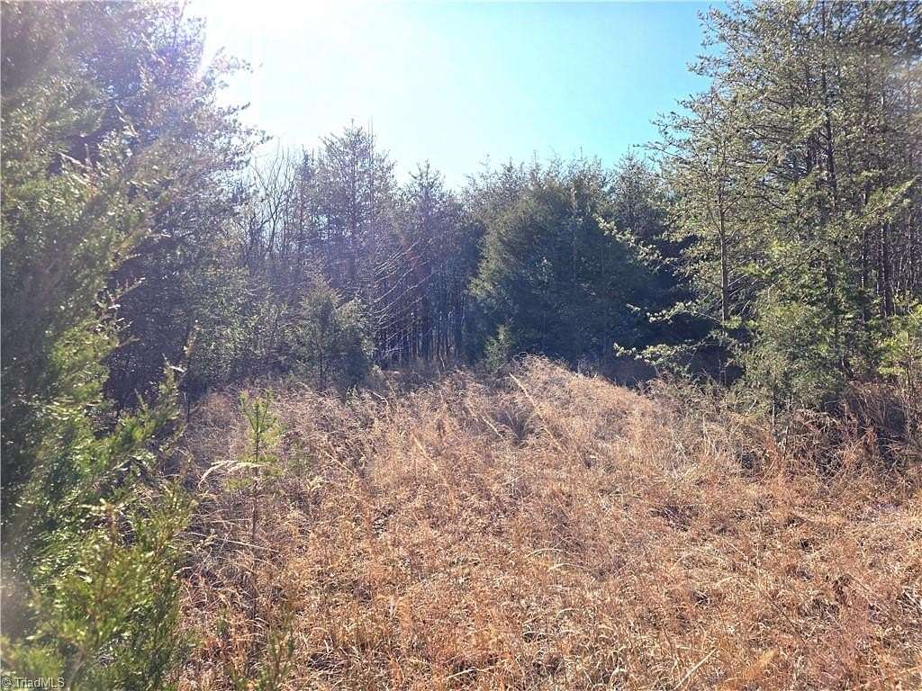 17.5 Acres of Land for Sale in Pinnacle, North Carolina