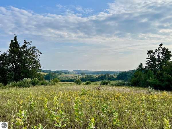 39.2 Acres of Agricultural Land for Sale in Ellsworth, Michigan