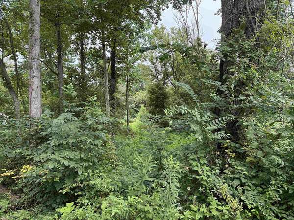 0.34 Acres of Residential Land for Sale in Oolitic, Indiana