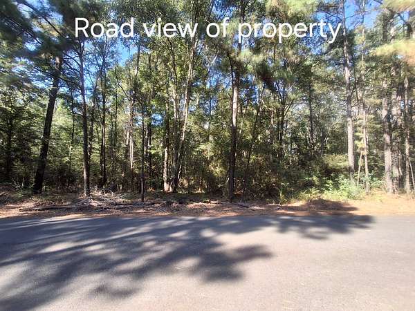 2.5 Acres of Land for Sale in Many, Louisiana