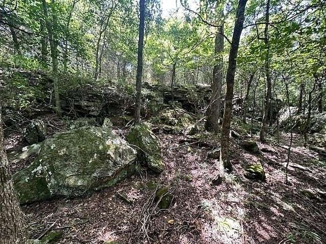 15 Acres of Recreational Land for Sale in Lincoln, Arkansas