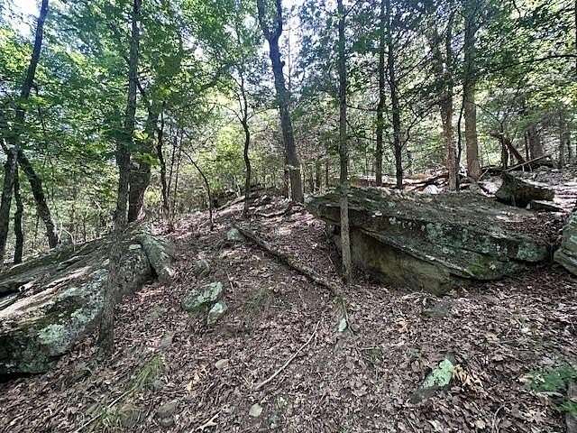 15 Acres of Recreational Land for Sale in Lincoln, Arkansas