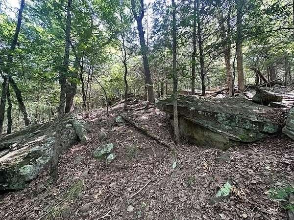 15 Acres of Recreational Land for Sale in Lincoln, Arkansas