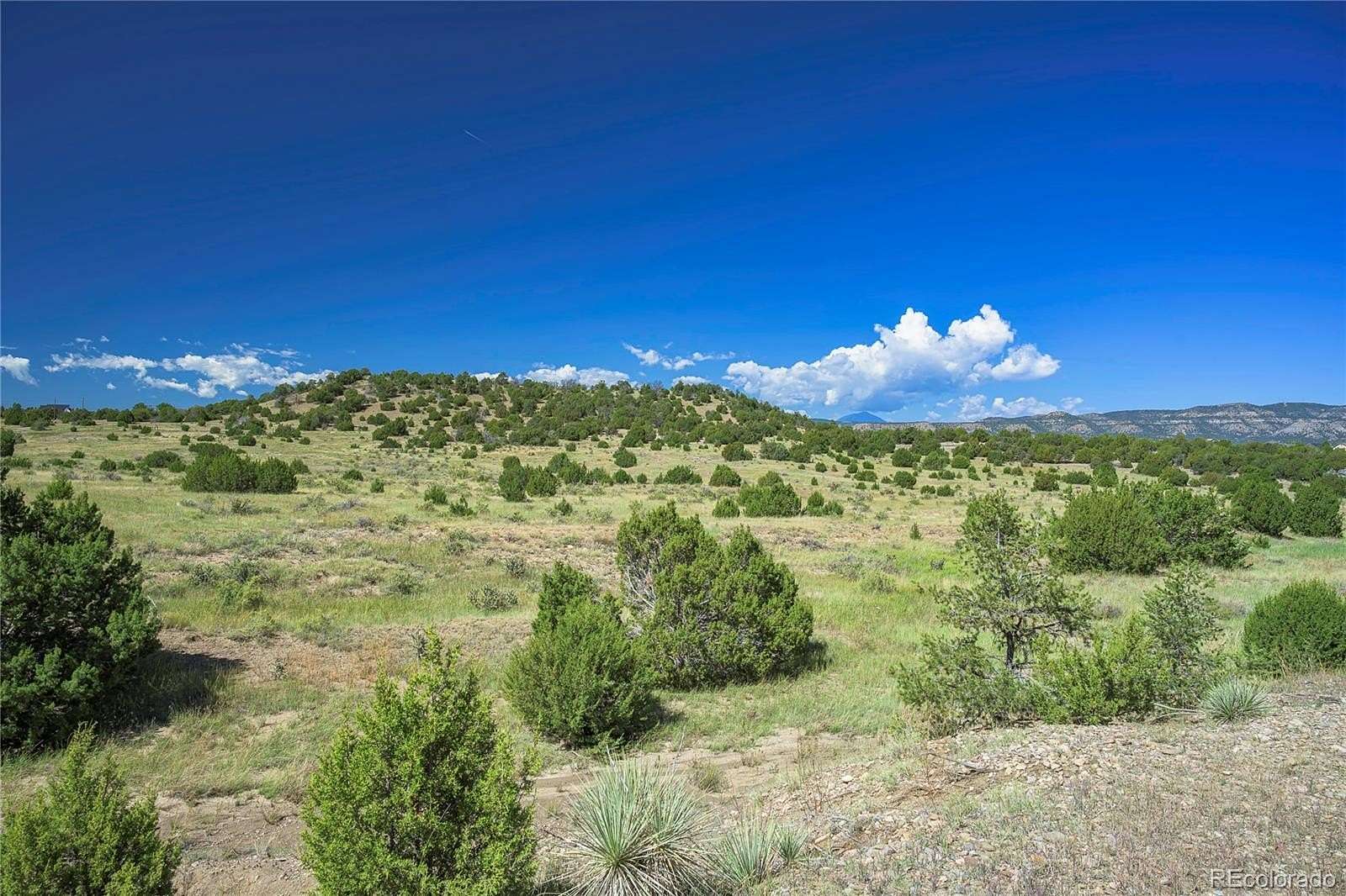 35 Acres of Recreational Land for Sale in Trinidad, Colorado