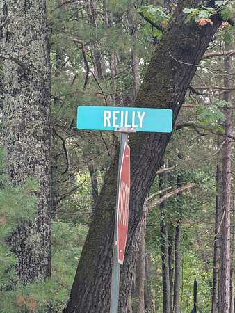 10 Acres of Recreational Land for Sale in Prudenville, Michigan