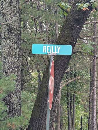 10 Acres of Recreational Land for Sale in Prudenville, Michigan