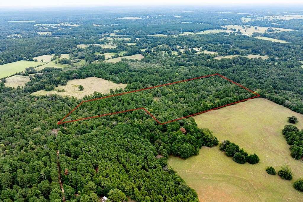 22.7 Acres of Recreational Land for Sale in Grapeland, Texas